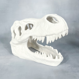 Ceramic Bisque T-Rex Skull - Case of 4 Ceramic Bisque T-Rex Skull - Case of 4